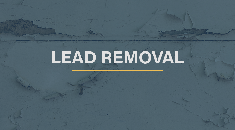 lead removal cta