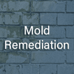 mold remediation icon