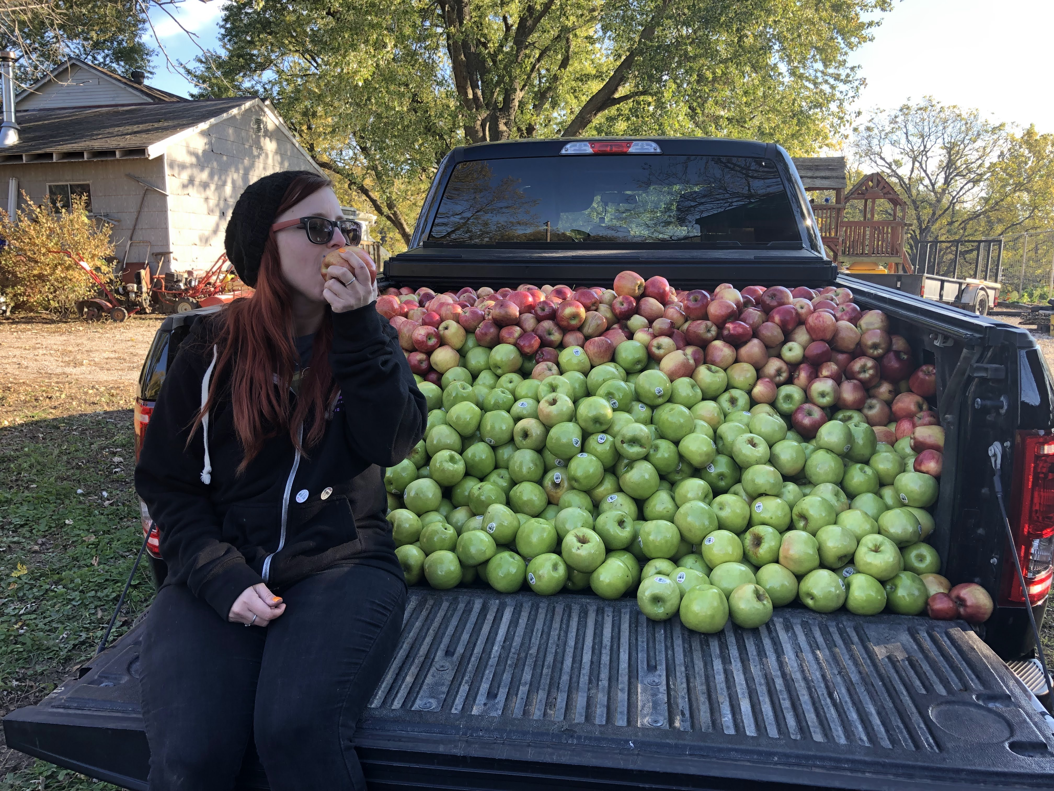 bri eating apples in back of pickup truck
