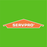 servpro logo icon
