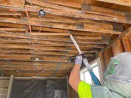 mold removal blog feature